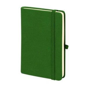 M-701 Aslan Tarihsiz Defter (9×14) küçük görsel