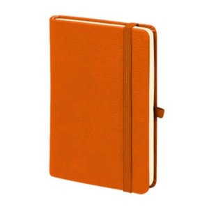 M-701 Aslan Tarihsiz Defter (9×14) küçük görsel