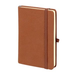 M-701 Aslan Tarihsiz Defter (9×14)