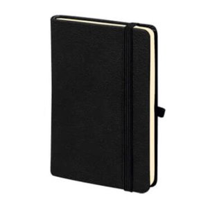 M-701 Aslan Tarihsiz Defter (9×14)