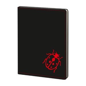 Terzidikiş-JBRS Tarihsiz Defter